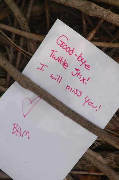 Goodbye Note