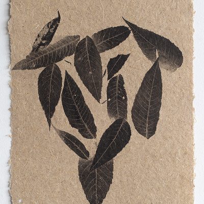 A collection of black leaves on rough, beige paper.