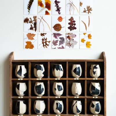 An installation of 20 autumn leaf portraits in yellow, red, purple, orange, and brown above 20 white ceramic cups with black glaze each in their own nook on a wooden shelf