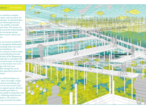 A surreal simulation in blue, green, white and gray of key elements of Companion Cultures: oyster beds, kelp seed pods, boardwalks, fish habitat, scuba divers, corn, bean, and squash. A column of text is to the left of the simulation.