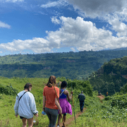 Green Landscape in Uganda