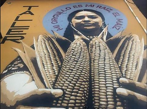 Oaxaca, Mexico, corn, food, forests, resilience, socio-ecological, sustainability