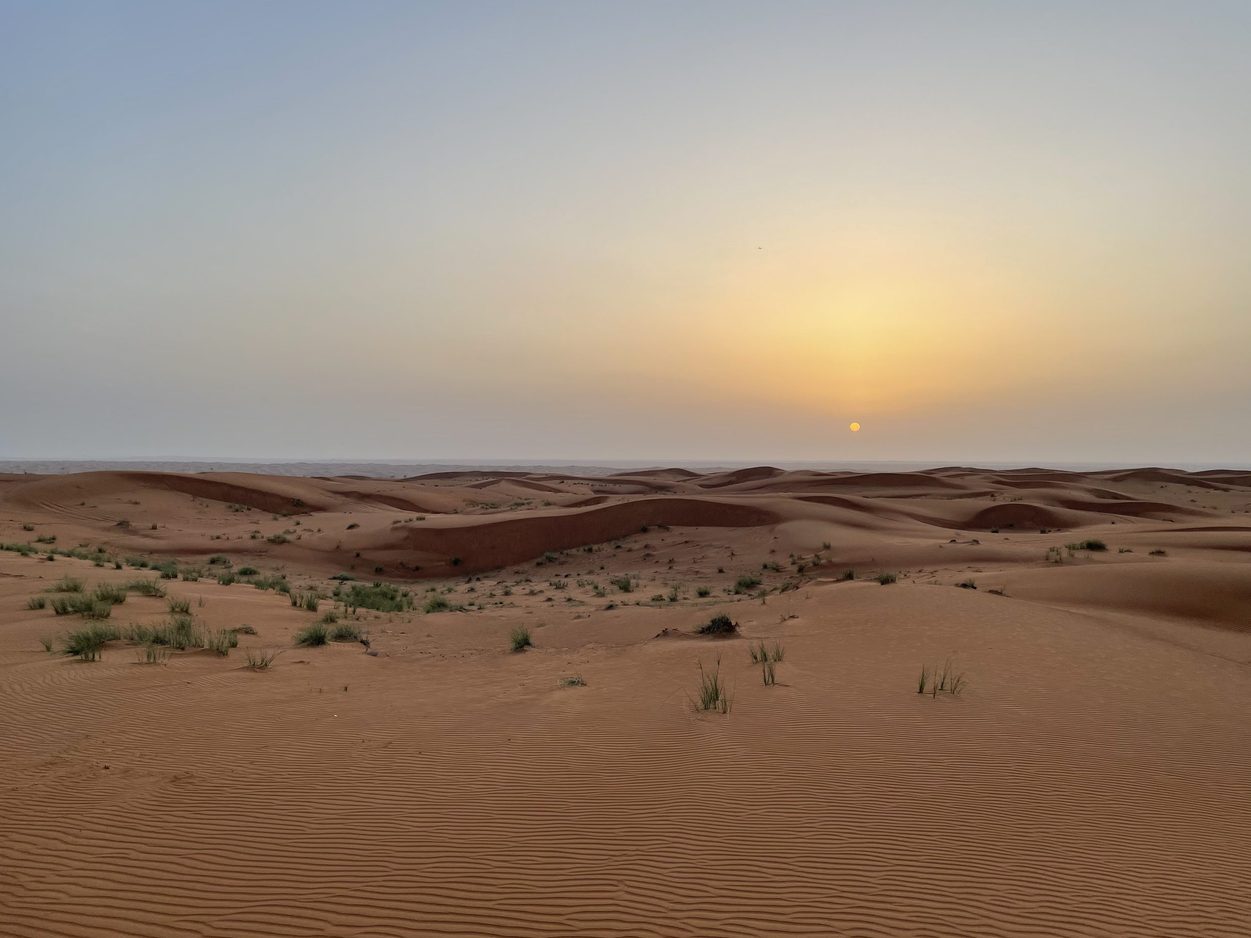 sunset over the desert