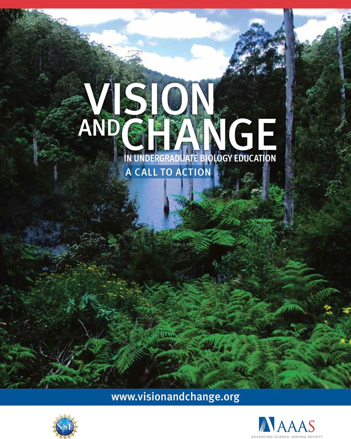 Vision and Change