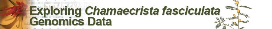 Chamaecrista Explorer Chrome