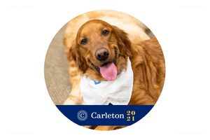 SWA dog with a Facebook profile frame