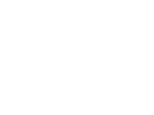 Input