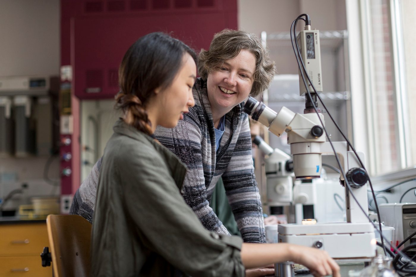 Professor Jennifer Wolff works with a student in a biology lab