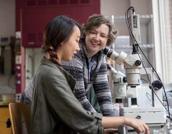Student-Faculty Research