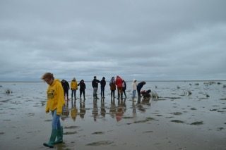 Carleton Students Searching for Shells