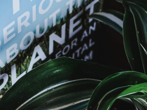 Climate Justice through the Courts