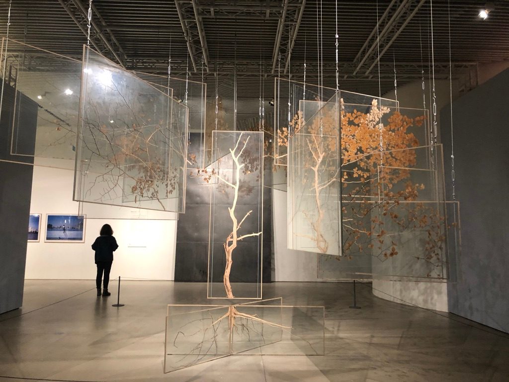 art museum installation