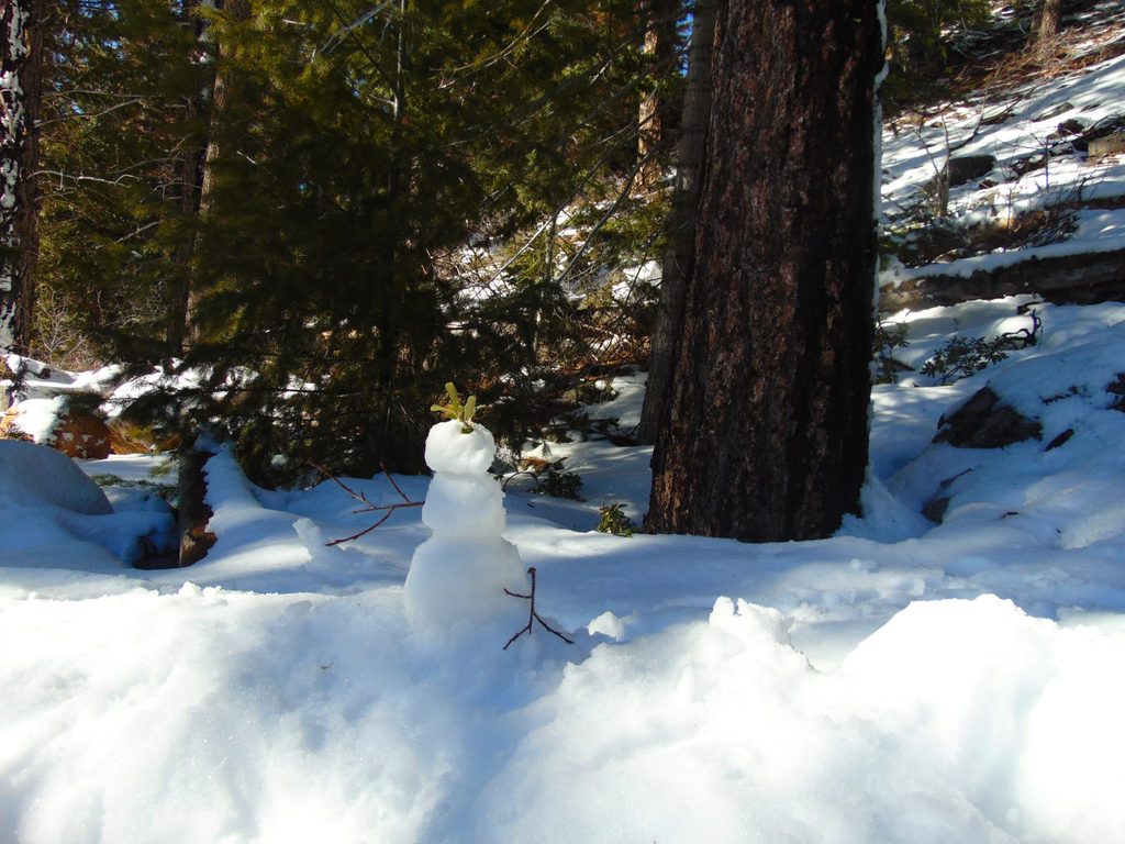 snowman in ski