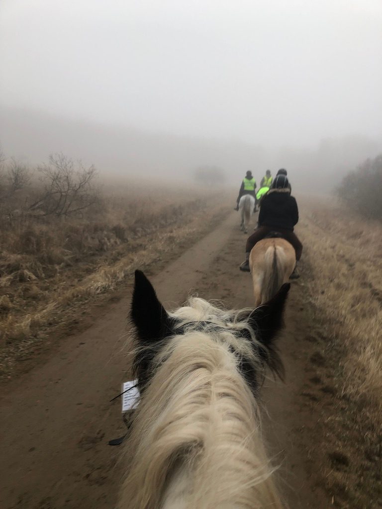 foggy ride on amager