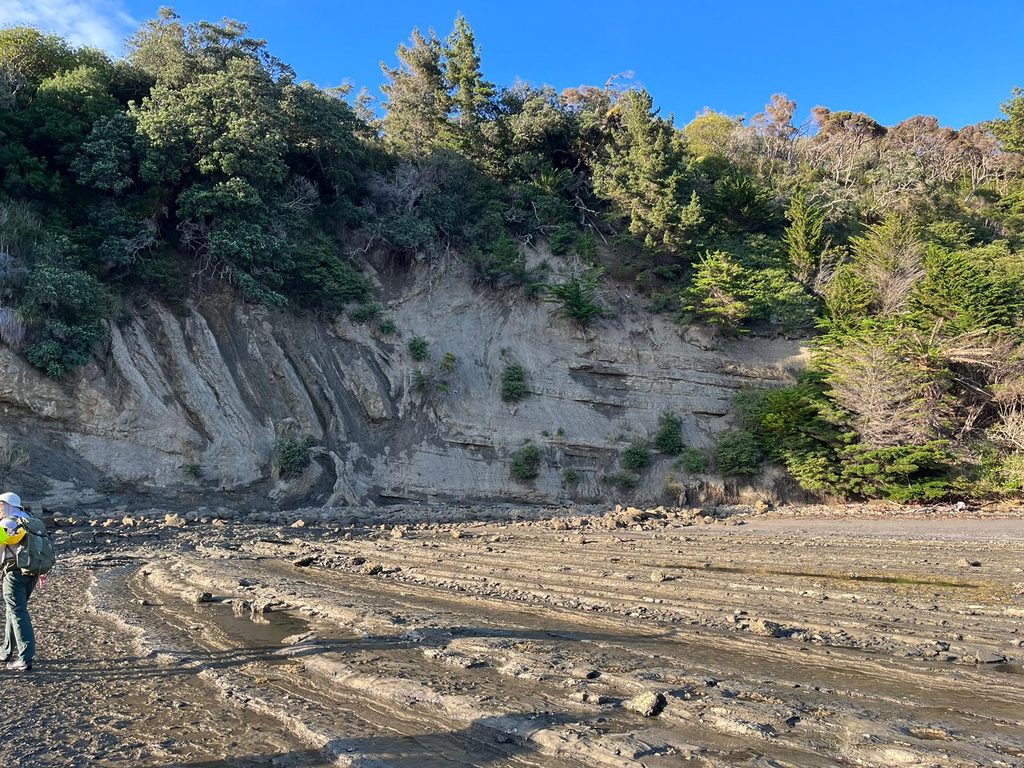 sedimentary