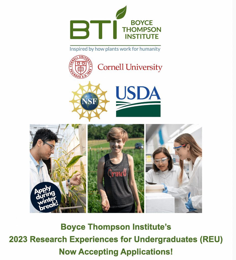 BTI