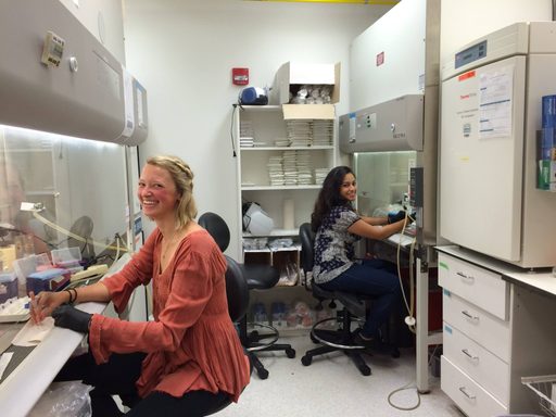 Students working in a lab