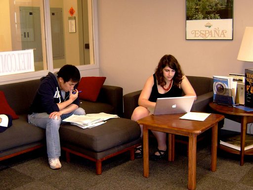 Students studying in the Language Center Lounge.