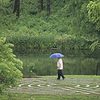 A person with an umbrella walks a labyrith path