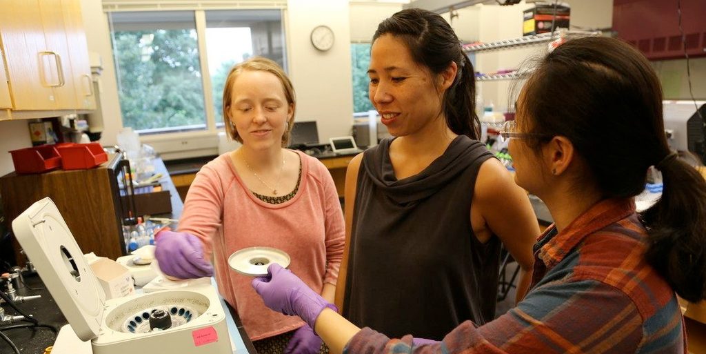 Two students and a professor in a biology lab