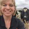 Courtney Halbach '13 works at the Dairyland Initiative at the University of Wisconsin-Madison