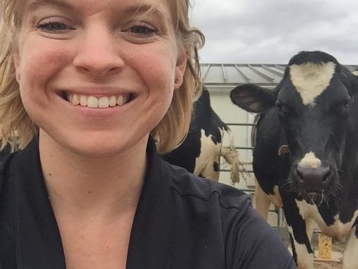 Courtney Halbach '13 works at the Dairyland Initiative at the University of Wisconsin-Madison