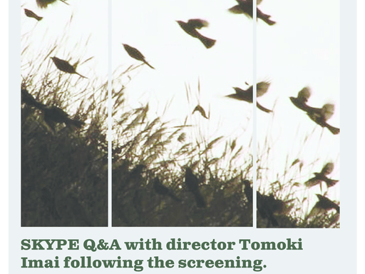 IFF presents Bird Time on 2/3 at 7pm in Weitz Cinema