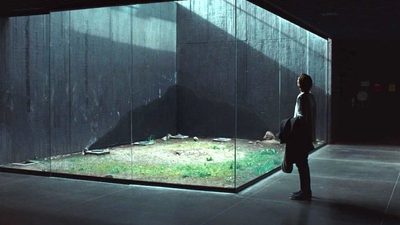 man looking into glass box