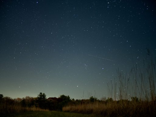 Arb at Night