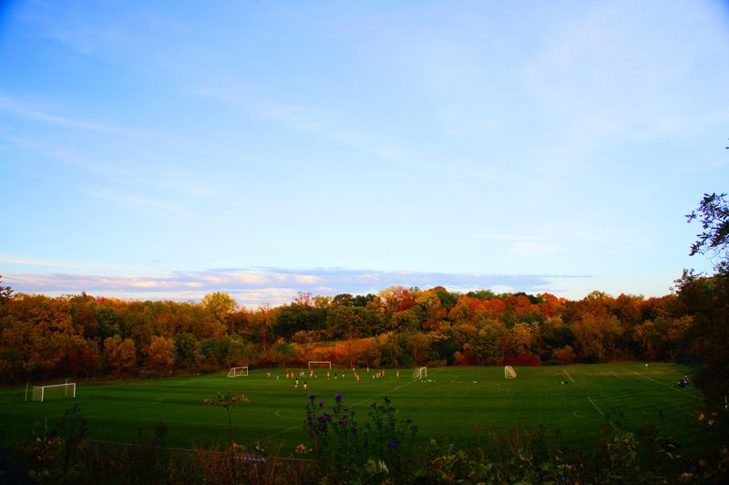 An afternoon at Bell Field