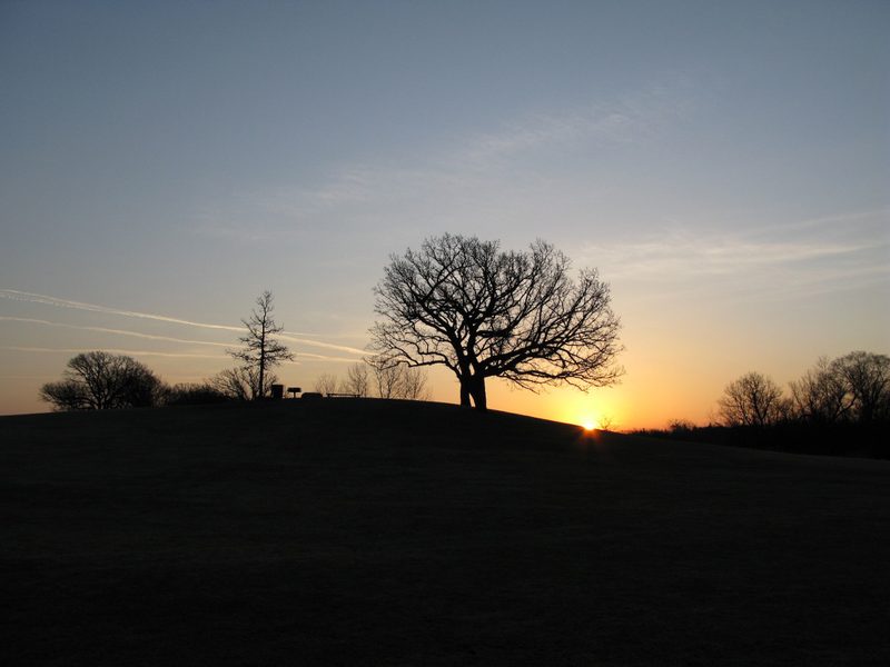 Hill of Three Oaks at Sunrise
