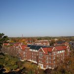 View from Watson