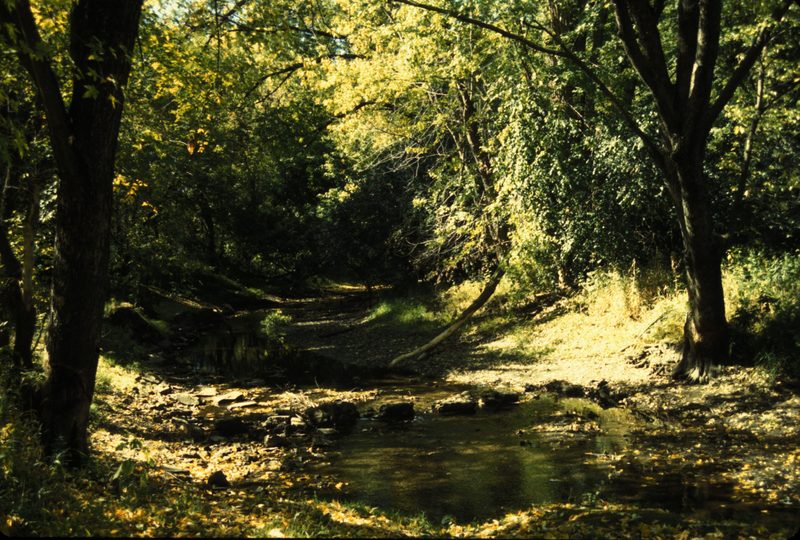 A quiet stream