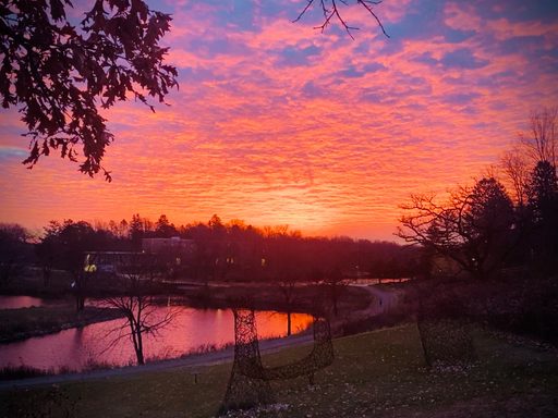 When pulling in to the CMC parking lot in the wee hours of the morning, sometimes nature rewards you with an unexpected show of color.