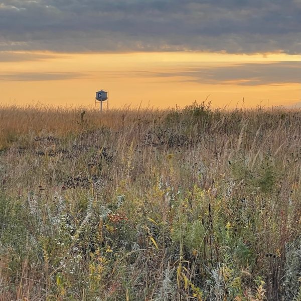 A prairie grass field in the foreground with a watertower in the distance