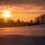 Sunset behind a hill with a lone tree.