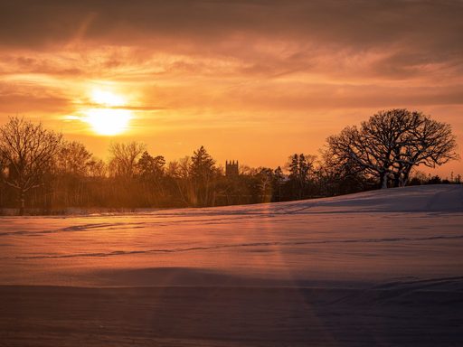 Sunset behind a hill with a lone tree.