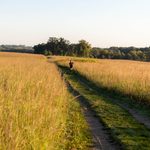 A person runs on a path that cuts through prairie land.