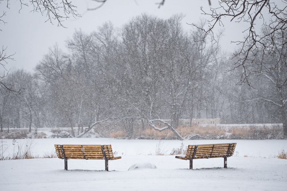 The photo contains two benches with snow falling.