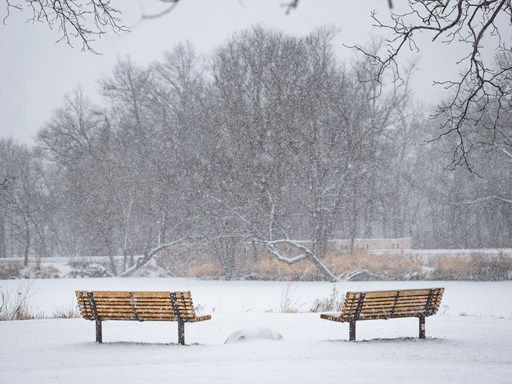 The photo contains two benches with snow falling.