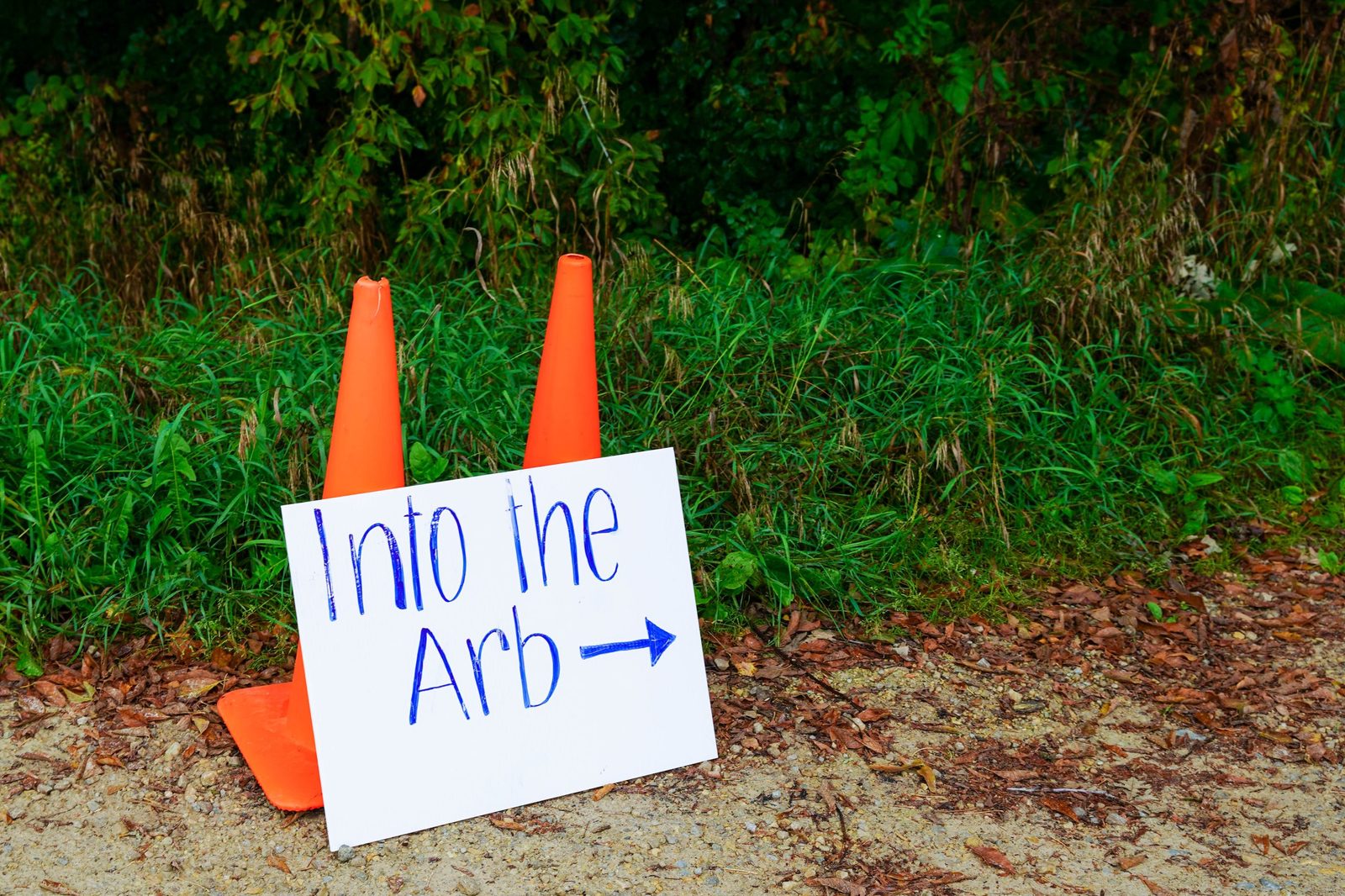 A sign saying 