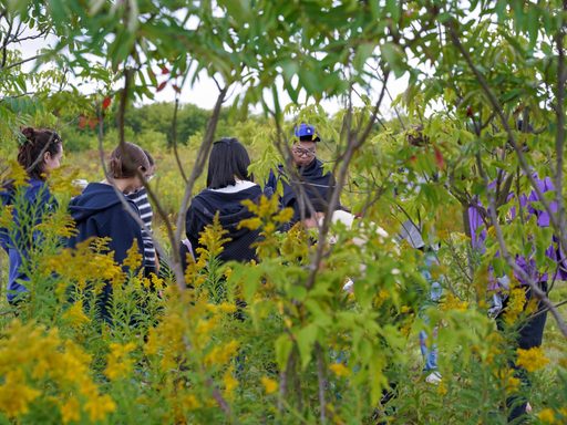Students plant trees.