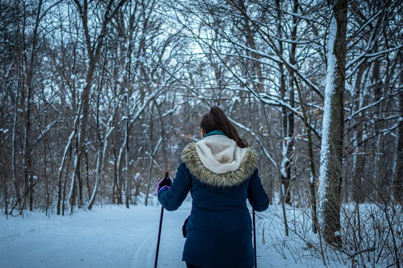 Cross country skiing in a forest