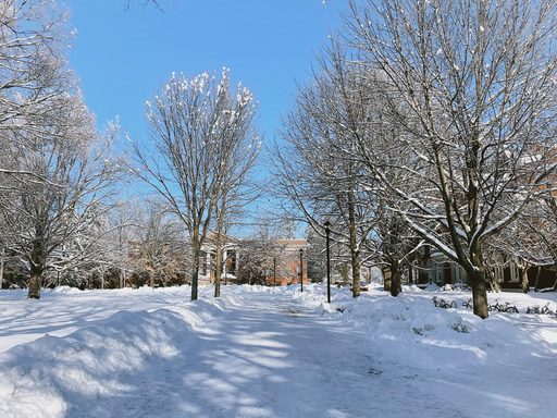 Snow covered path leading to Laird Hall