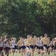 runners going across a field
