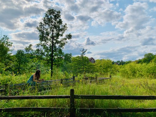 The beauty of nature of the arb glows during the summer with its vivid greens and blues.
