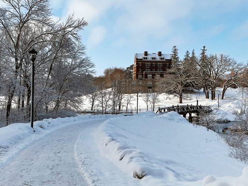 Snow-cleared path to a bridge over Lyman Lakes.