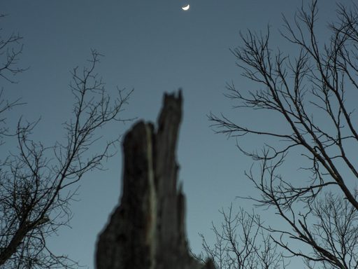 A small crescent moon in the night sky.