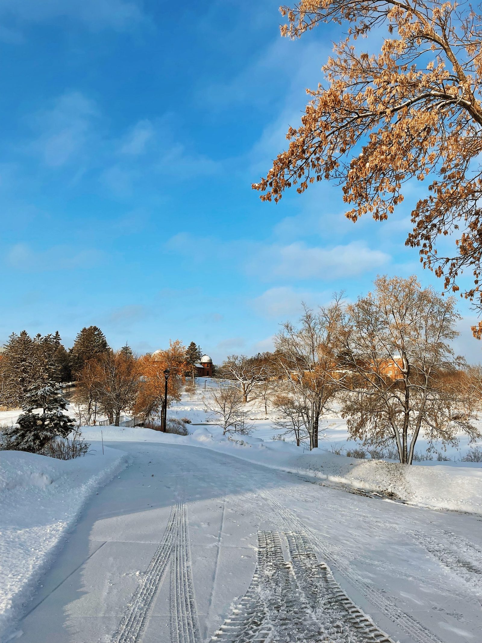 Path to a bridge over Lyman Lakes.