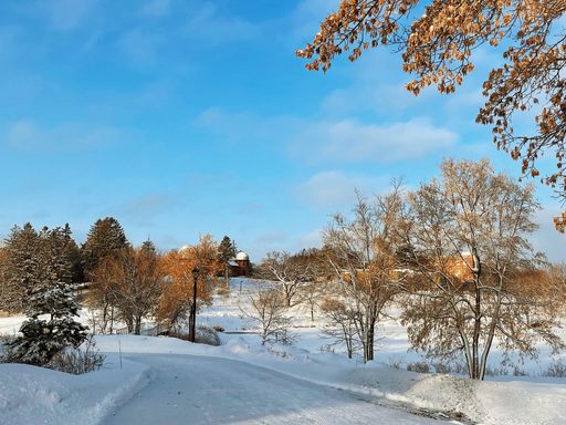 Path to a bridge over Lyman Lakes.
